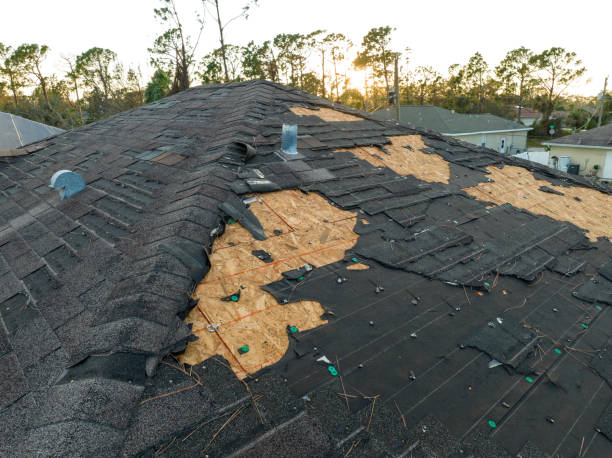 Best Metal Roofing Installation  in Hamilton, MT